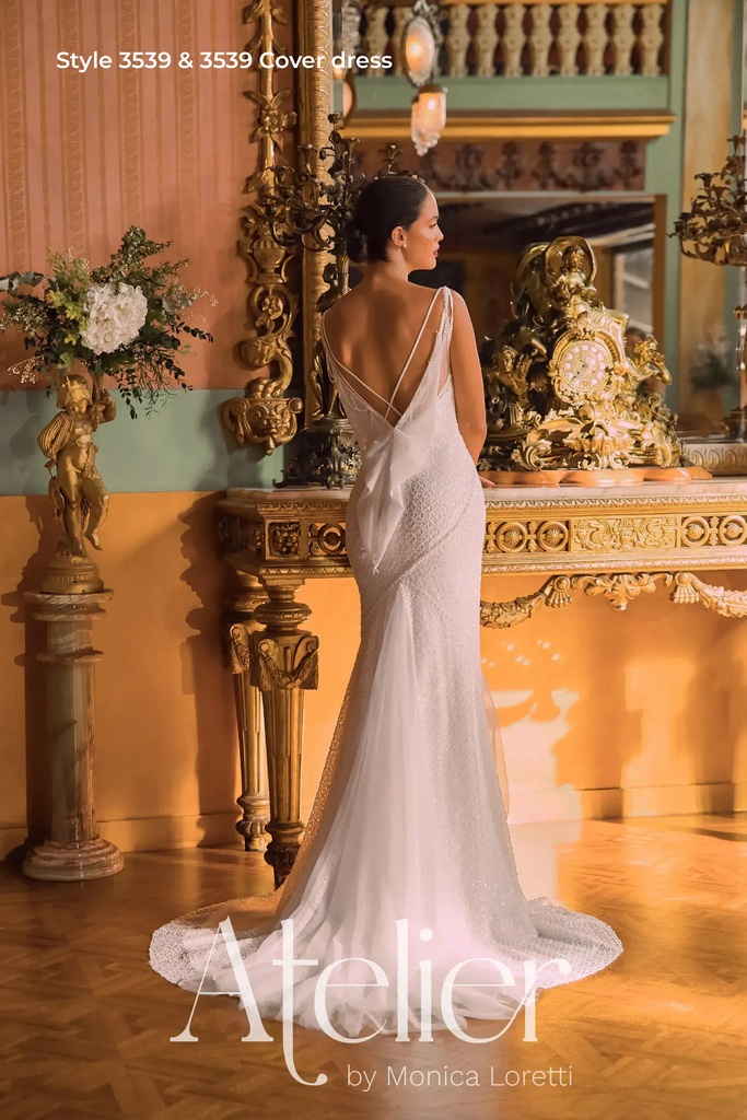 3539 Cover dress