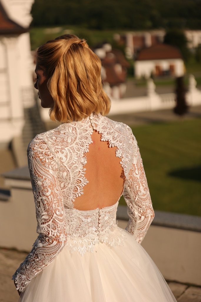 1123 bodice